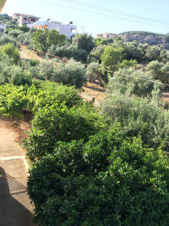 Διαμερίσματα Ράνια Τολό Δωμάτιο φωτογραφία